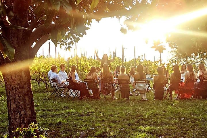 Small Group Minardi Winery Tour — photo 1 of 6