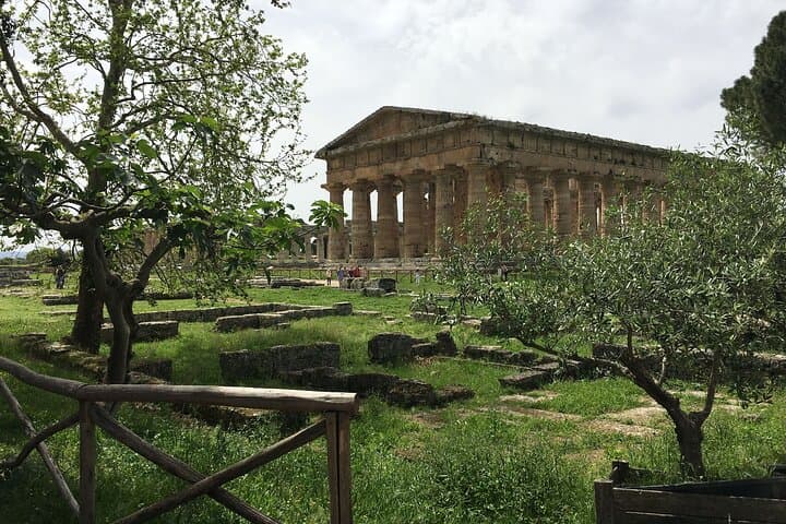 Private Tour Paestum And Fattoria Mozzarella With Guide And Driver — photo 1 of 15