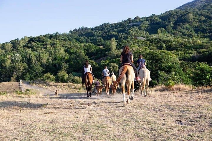 Shared Tour Pompeii Excavations And Horseback Riding And Lunch — photo 1 of 10