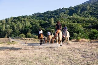 Shared Tour Pompeii Excavations And Horseback Riding And Lunch