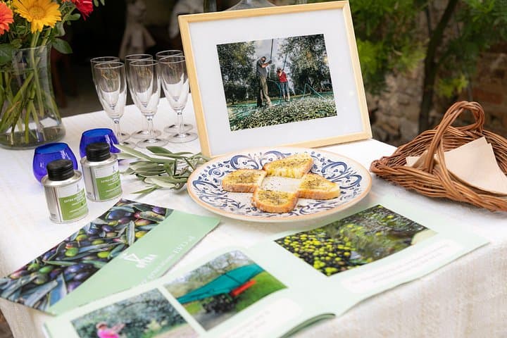 Wine & EVO Oil Tasting with Authentic Tuscan Lunch in Chianti — photo 1 of 8