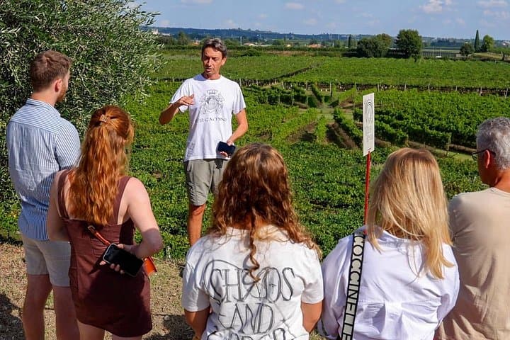 Winery Tour and Tasting of Garda Wines in Lazise — photo 1 of 18