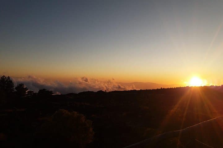 Etna Sunset Tour Tasting Glasses of Wine — photo 1 of 5