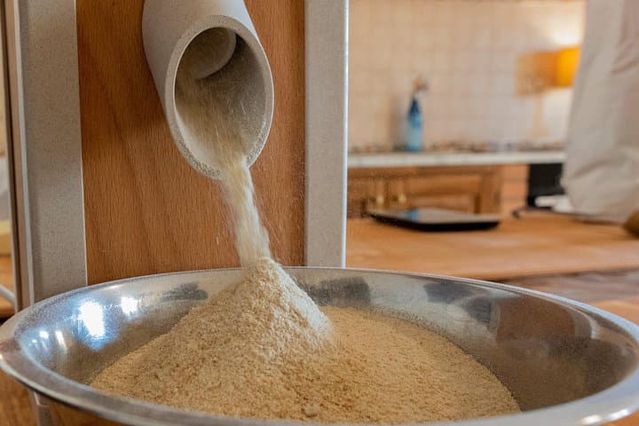 Golden Grains & Gourmet Pasta Cooking Class — photo 1 of 12