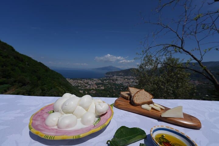 Farm Tour in Sorrento: Olive Oil, Lemons & Mozzarella Tasting — photo 1 of 12