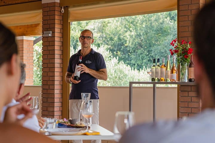 Bardolino: vineyard tour, wine, oil and food tasting — photo 1 of 20