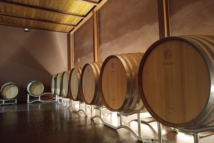 Volterra wines, sensory emotions of organic farming — photo 1 of 9