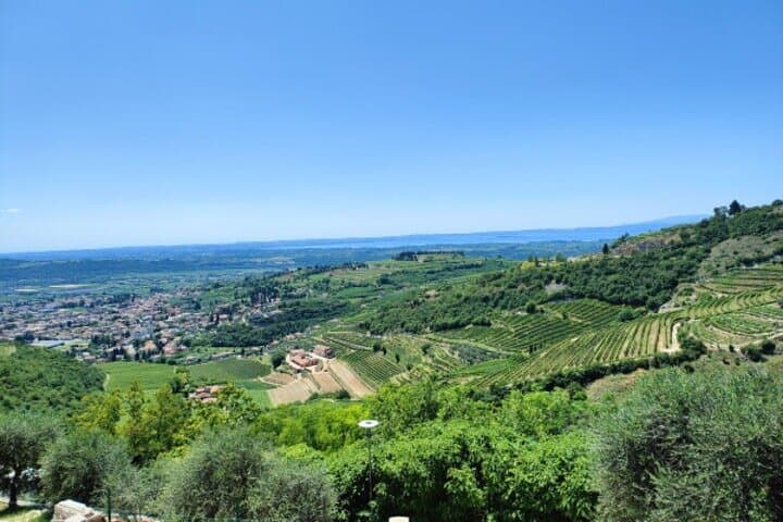 A Sunday of Amarone A Half day wine tour — photo 1 of 5