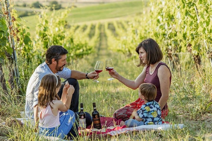 Picnic in the Organic Vineyards of Brunello — photo 1 of 8
