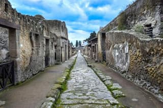 Pompeii Ruins and or Herculaneum and Vesuvius Private Tour