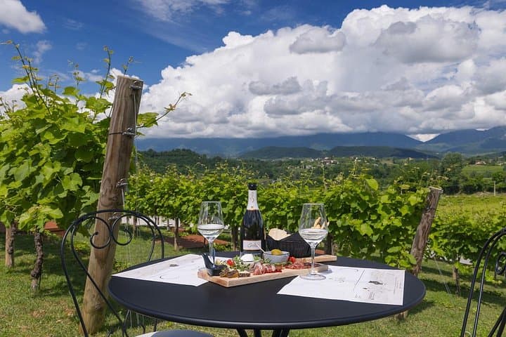 Tour and tasting in the hills of Prosecco Superiore DOCG — photo 1 of 12