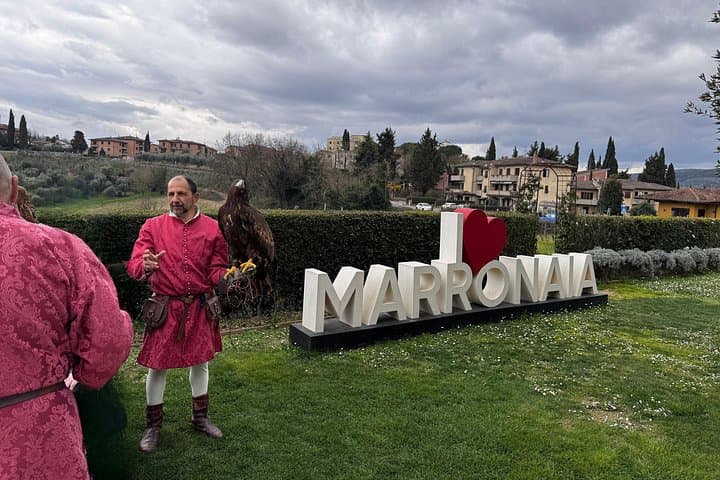 Wine and Falconry in San Gimignano — photo 1 of 6