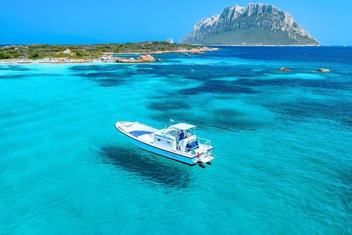 From Olbia: boat tour to Tavolara or Cala Moresca — photo 1 of 10