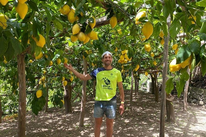 Lemon Trail : Lemon Tour with Tasting — photo 1 of 25