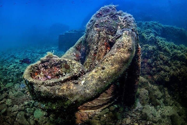 Double Dive in the Bay Park for certified divers — photo 1 of 6