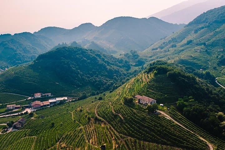 Luxury Prosecco Wine Tasting Full-Day Private Tour from Venice — photo 1 of 6