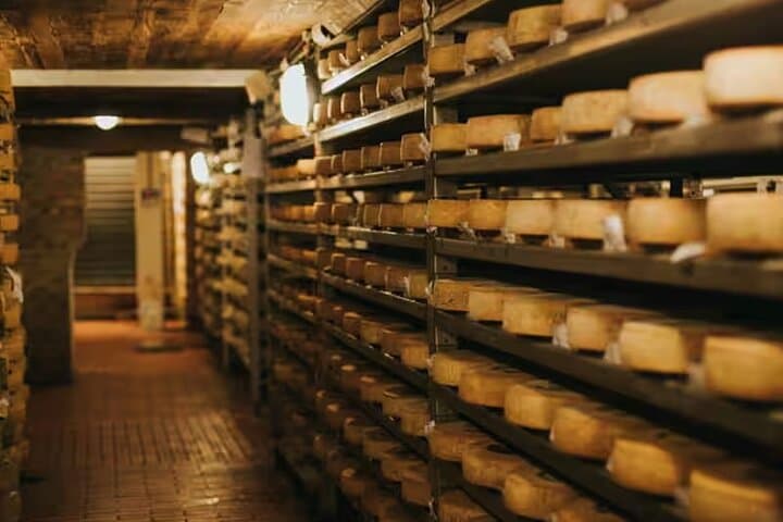 Cheese Experience: Tour & Tasting at Guffanti near Lake Maggiore — photo 1 of 5