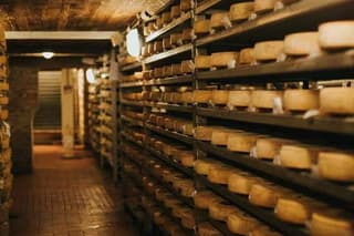 Cheese Experience: Tour & Tasting at Guffanti near Lake Maggiore