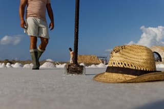 Experience of the saltworker at Trapani salt pans