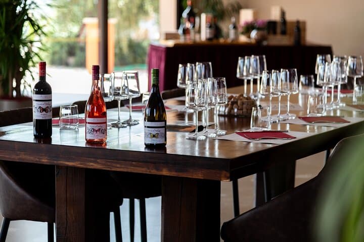 The classics - Guided tour with DOC Bolgheri tasting — photo 1 of 11