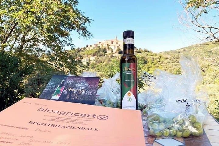 Guided tour of the Olive Grove with Typical Tuscan Tasting — photo 1 of 8