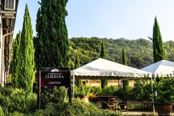 Taste the Wines of Corbara Exploring the Flavors of Umbria — photo 1 of 20
