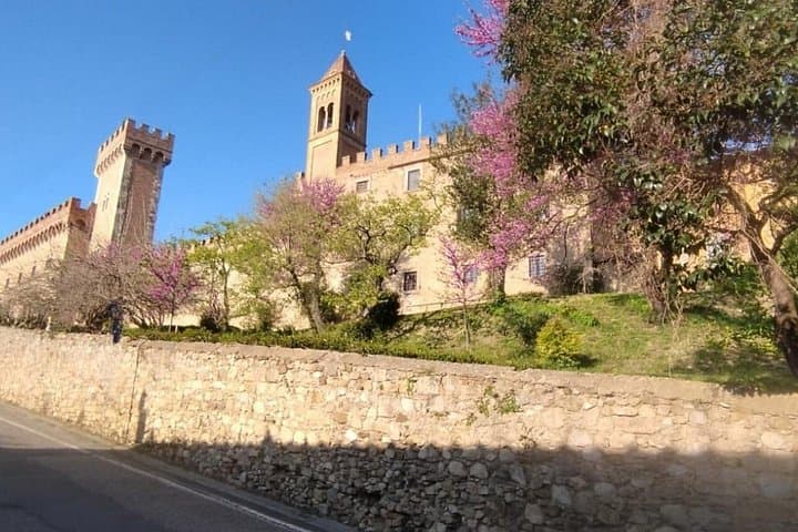 From Florence to Bolgheri Private Tour by Minivan — photo 1 of 11