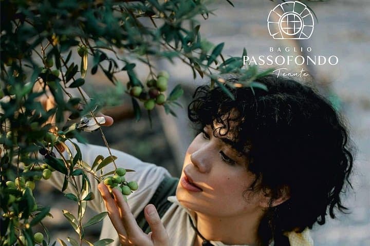 Walk in olive grove and Tasting — photo 1 of 19