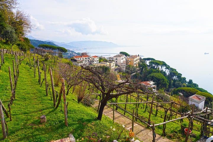 Wine Tour in Cilento with professional sommelier — photo 1 of 4