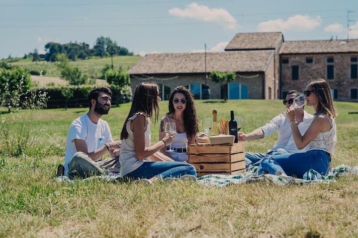Parma Tastes and Tales Parmigiano Dallara Wine Picnic and Castle — photo 1 of 11