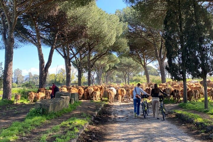 Rome: Appian Way E-bike Tour, Catacombs, Aqueducts & Transfer — photo 1 of 27