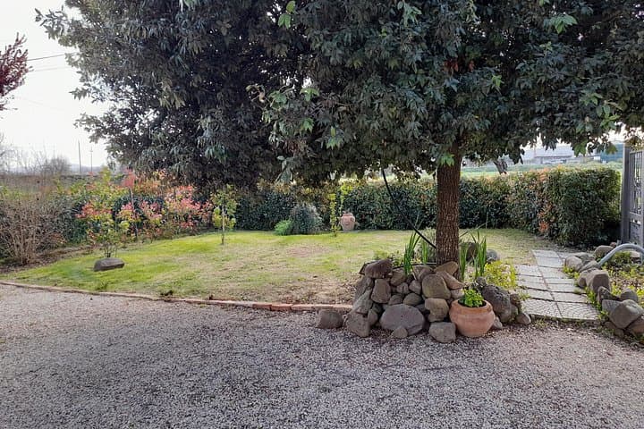 Pizza Party and Open Bar in Private Garden — photo 1 of 9