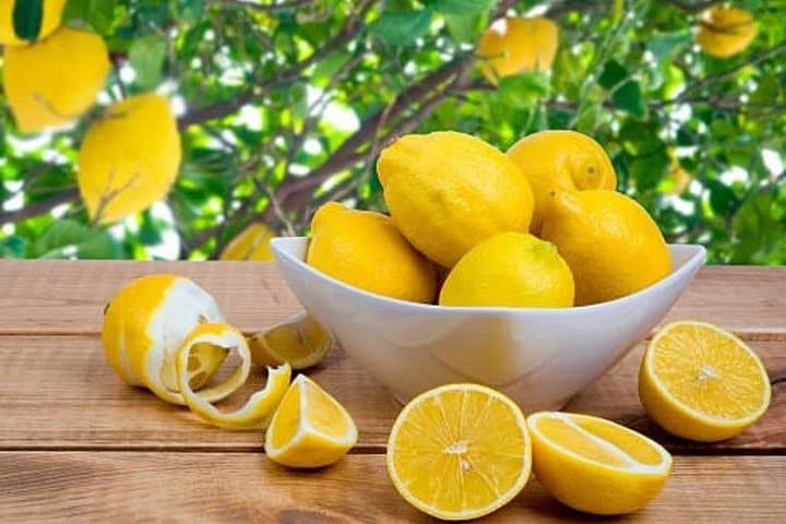 Rome Limoncello Making Class with Pizza and Spritz tasting — photo 1 of 3