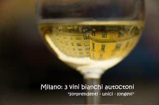 Taste authenticity : 3 native Italian white wines