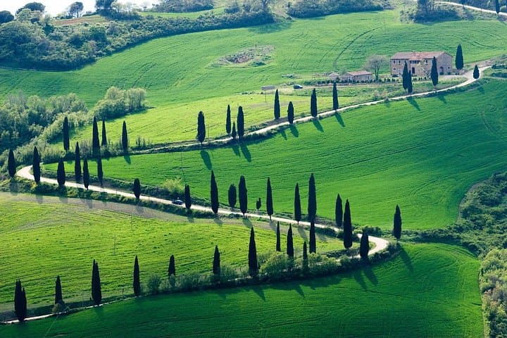 Private Transfer Rome to Florence with a stop to visit Siena — photo 1 of 8