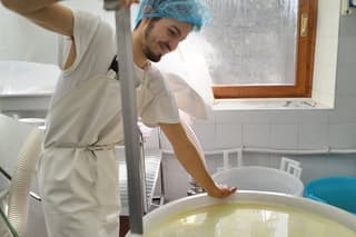 Create your cheese in the Dolomites