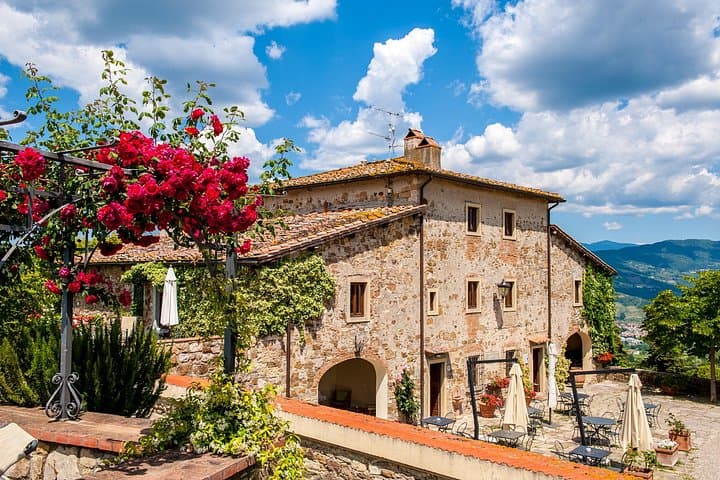 Organic Wine and Gourmet experience in Tuscany Chianti hills — photo 1 of 7