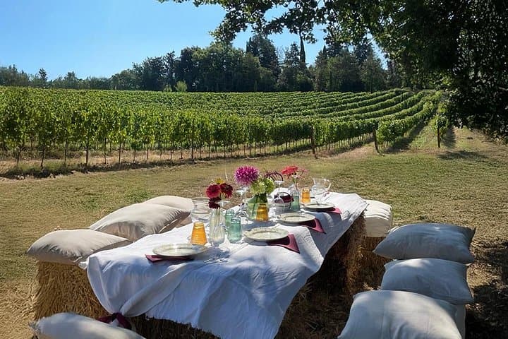Tasting with welcome Aperitivo in the vineyard of organic wines — photo 1 of 12