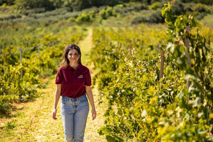 Vineyard walk and tasting on the lake in Mazara del Vallo — photo 1 of 4