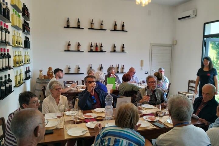 Primitivo tasting of Manduria PDO and visit of the winery — photo 1 of 8