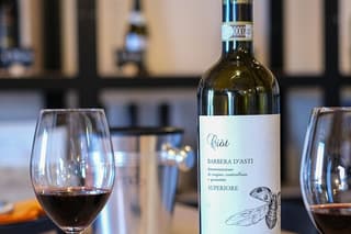 Organic Wine Tasting in Monferrato