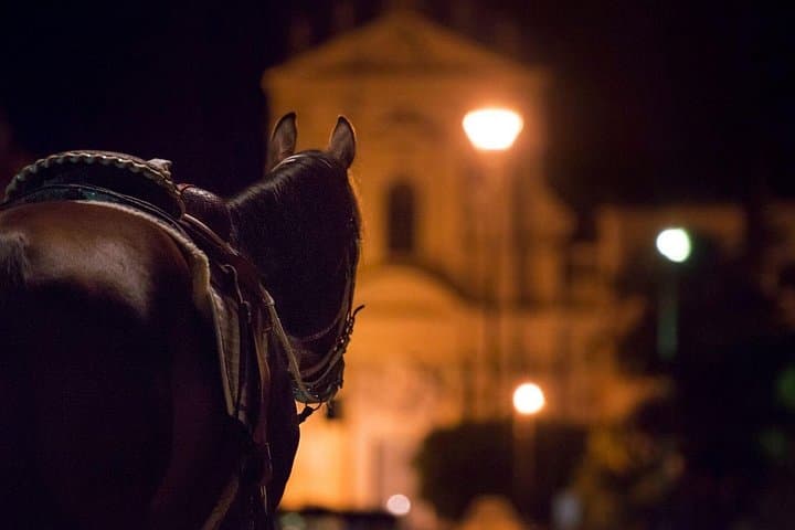 Palermo's Dark Shades: Ghost, Crime and Tasting Walking Tour — photo 1 of 5