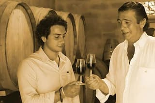 Winery Tour in Marsala with Local Wines and Specialties