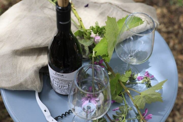 Taranto and Manduria with Wine Tasting Day Tour — photo 1 of 11