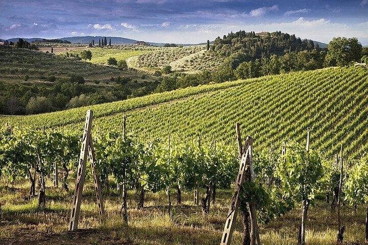 Pisa o Livorno to San Gimignano and Siena Tour &Wine Tasting — photo 1 of 19