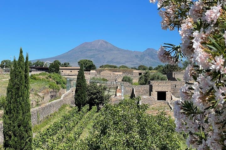Pompeii Private Tour with Transportation and Archaeologist — photo 1 of 18