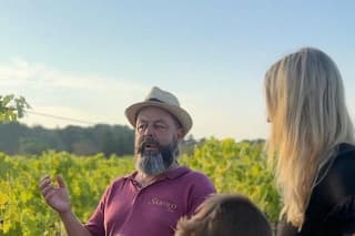Wines of Valle d'Itria tour in vineyard and cellar