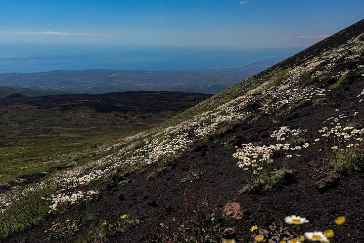 Catania: Morning Jeep Tour of Mount Etna and Lava Flow Caves — photo 1 of 41