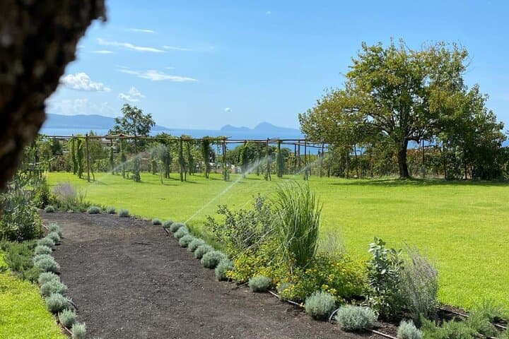 Wine Tasting on Mt. Vesuvius & Lunch — photo 1 of 7