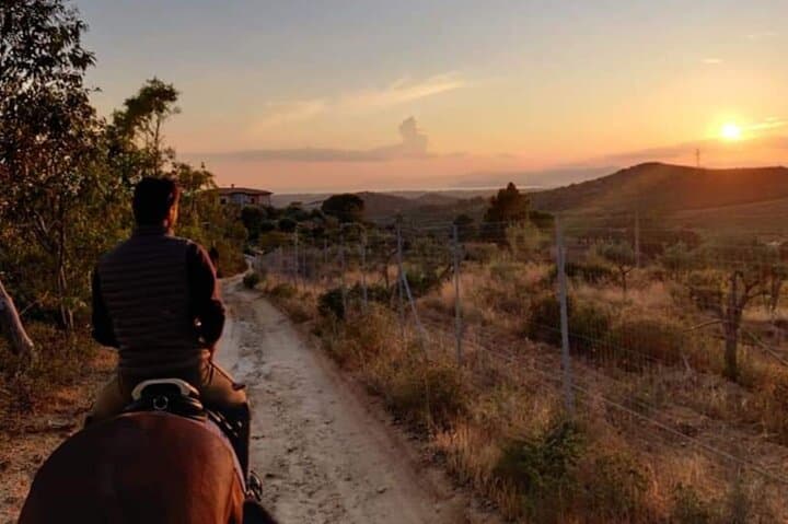 Cagliari Panoramic Horseback Riding — photo 1 of 11